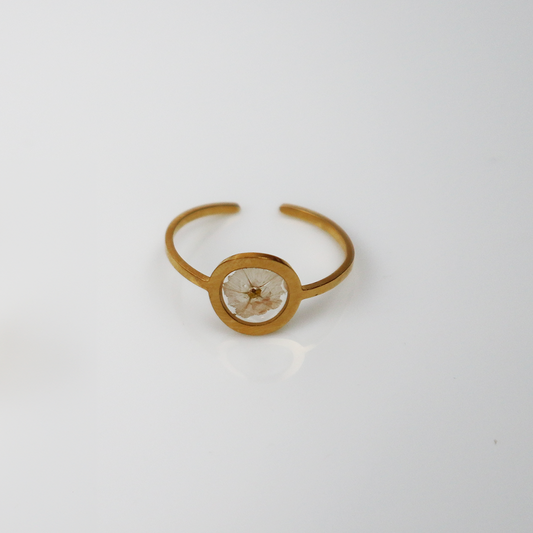 Drupt Ring GeoS Limonium 'diamond wit' Goud