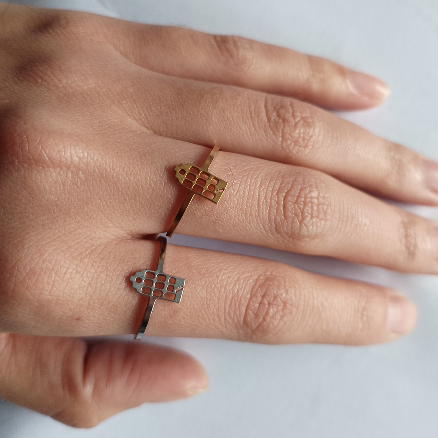 Goud en zilver grachtenpandje