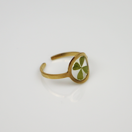 Ring GeoL - Klavertje Vier - Goud - Drupt