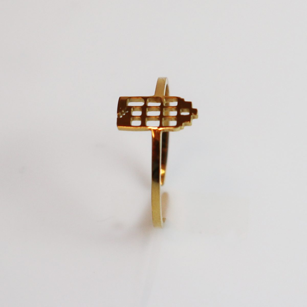 Ring - Grachtenpandje - Goud - Open