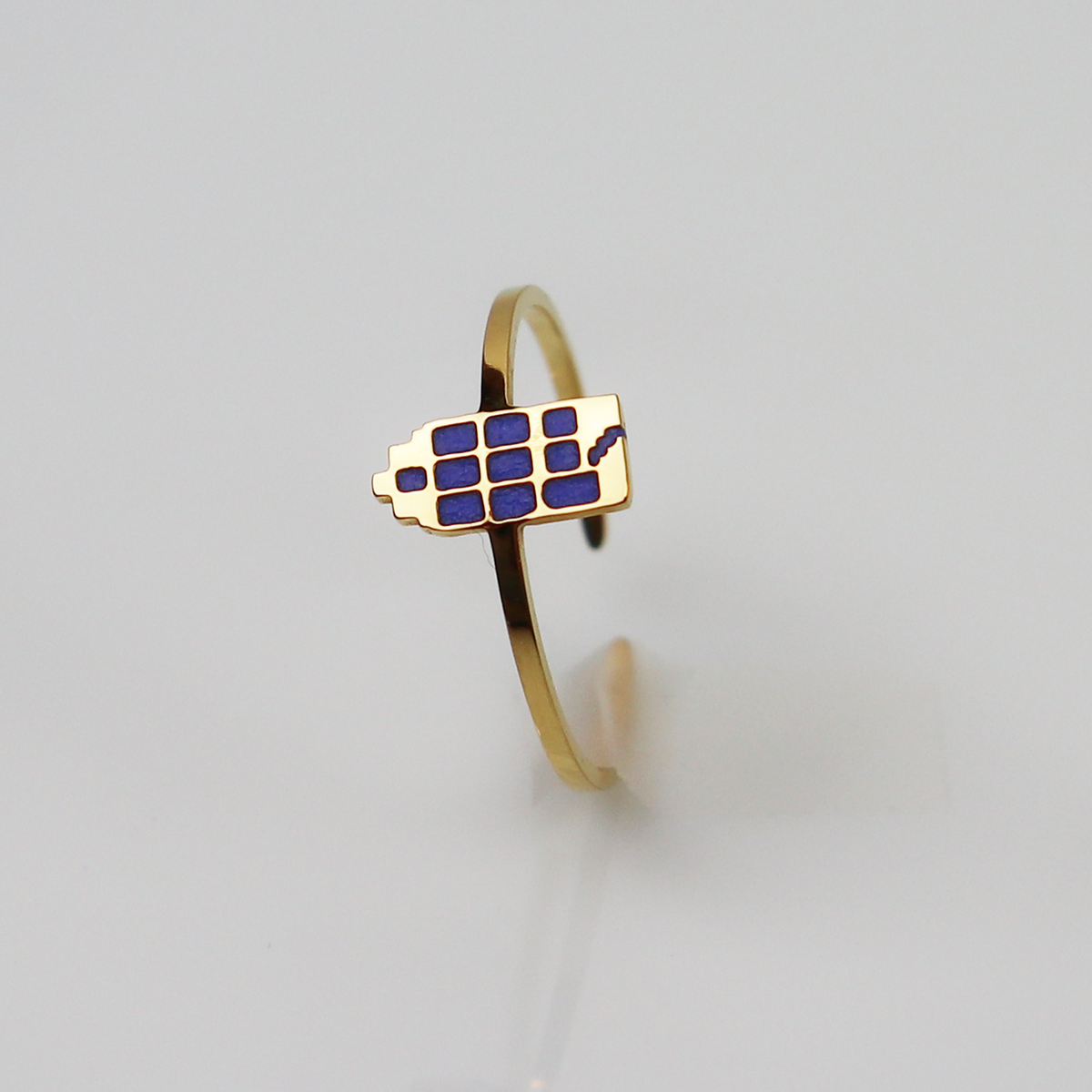 Ring - Grachtenpandje - Goud - Blauw