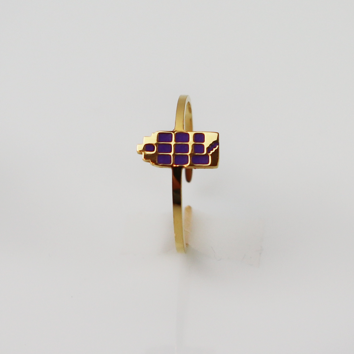 Ring - Grachtenpandje - Goud - Paars