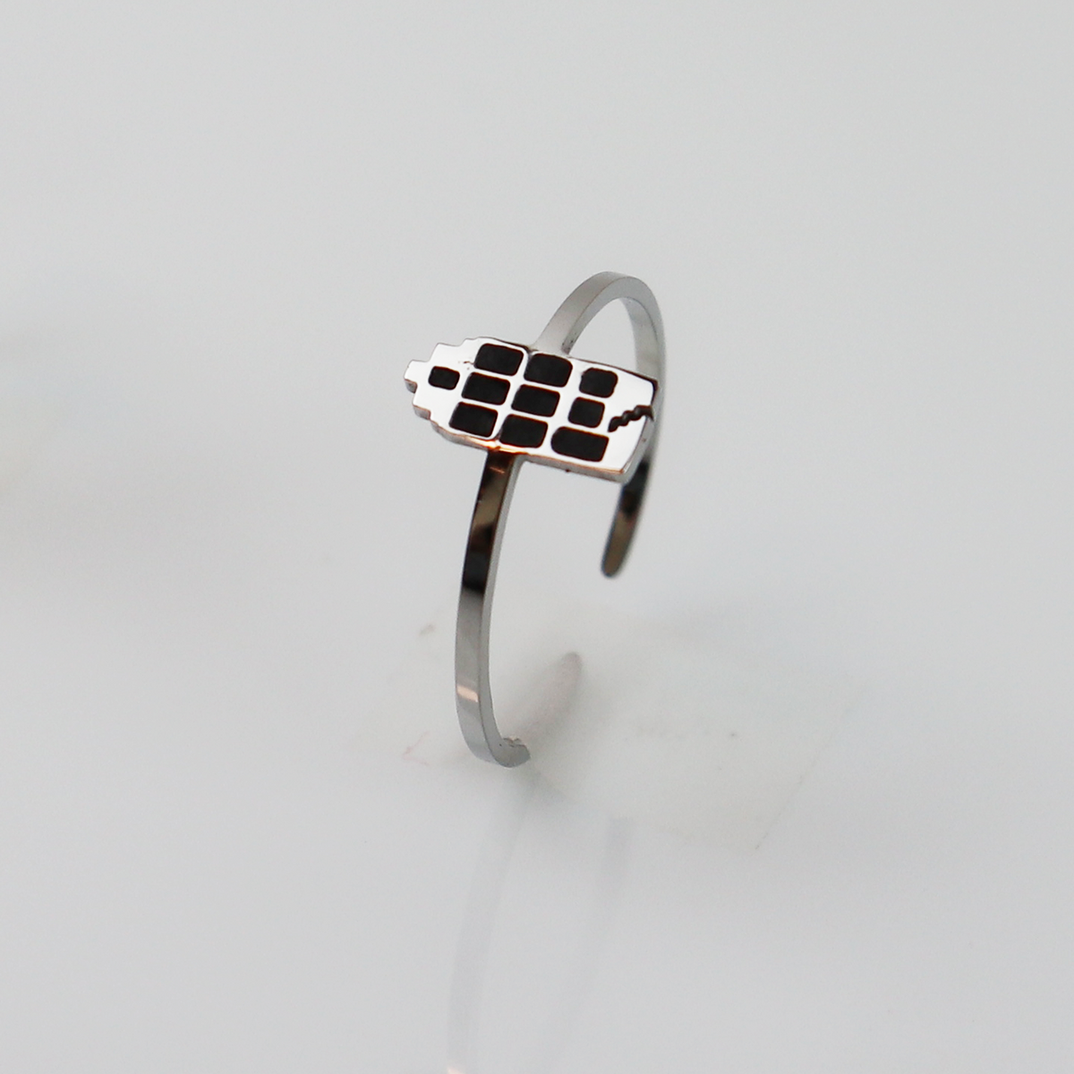 Ring - Grachtenpandje - Zilver - Zwart