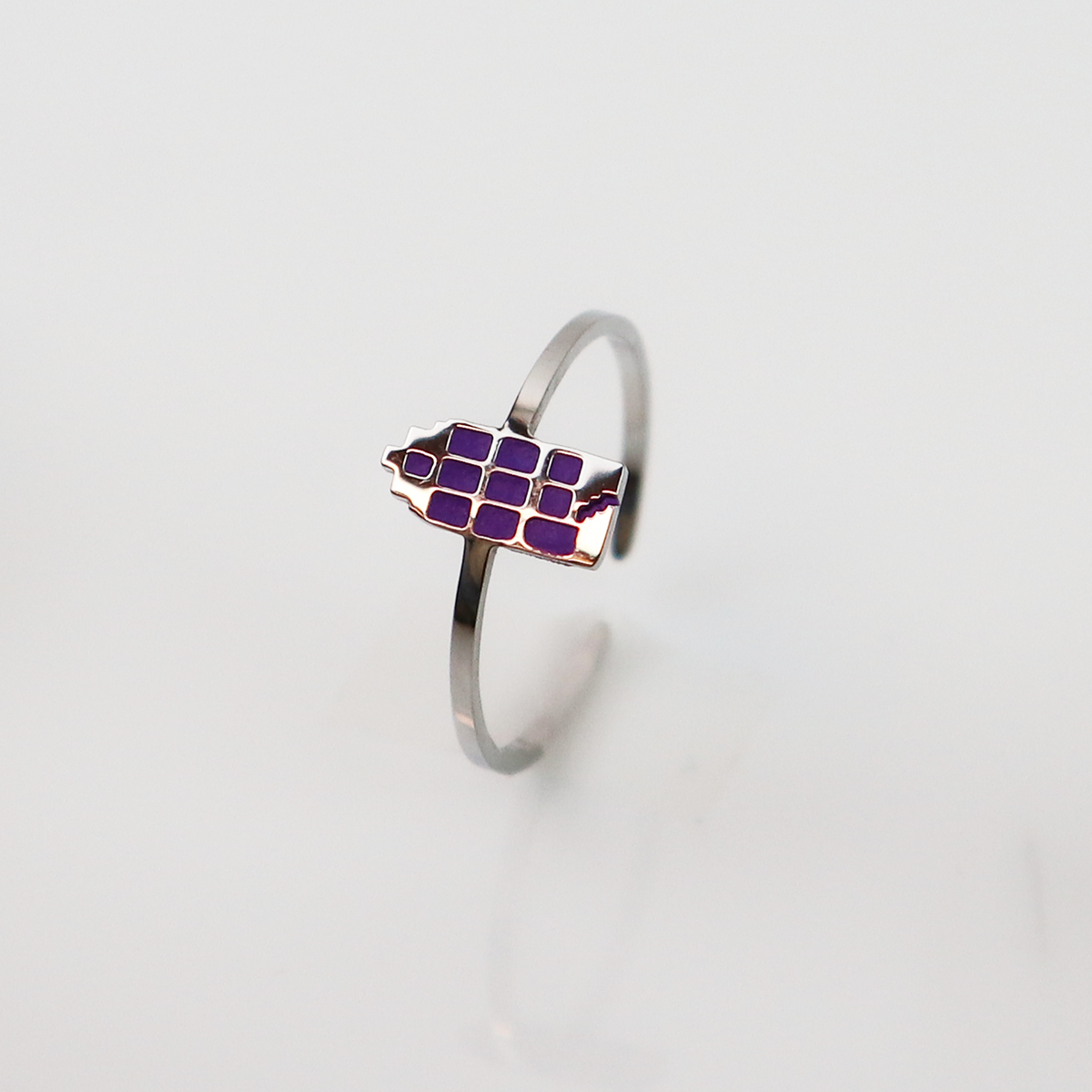 Ring - Grachtenpandje - Zilver - Paars