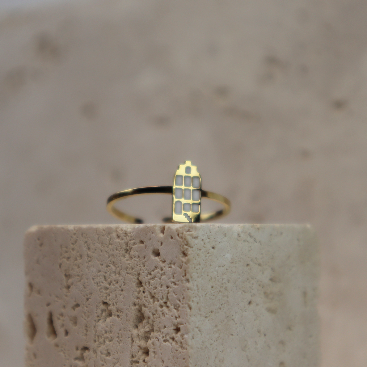 Ring - Grachtenpandje - Goud - Wit