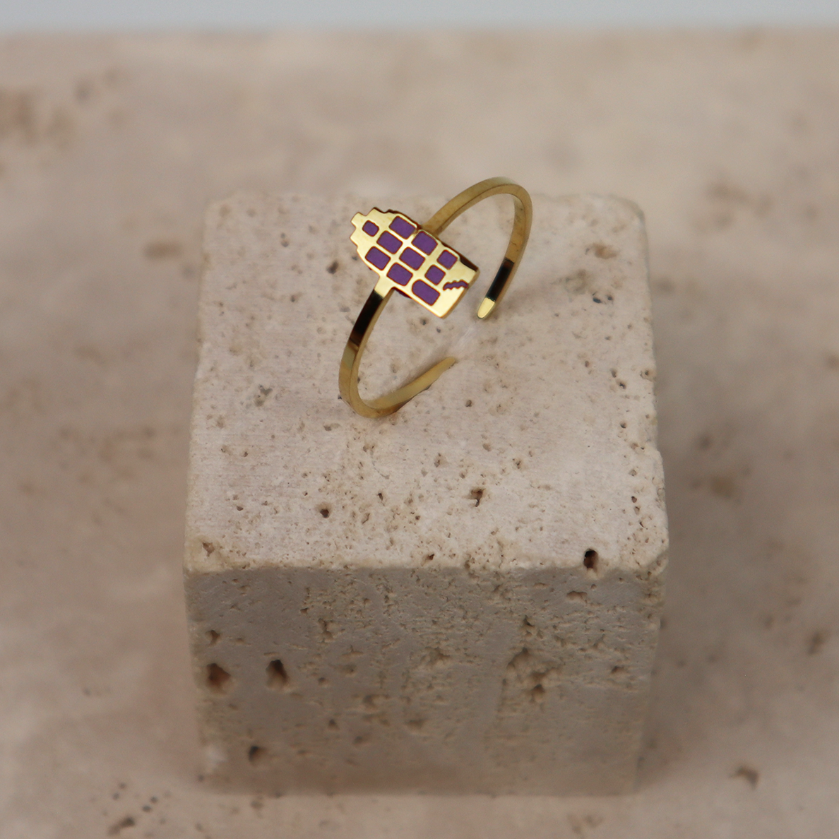 Ring - Grachtenpandje - Goud - Paars