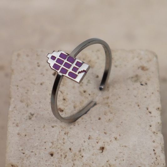 Ring - Grachtenpandje - Zilver - Paars