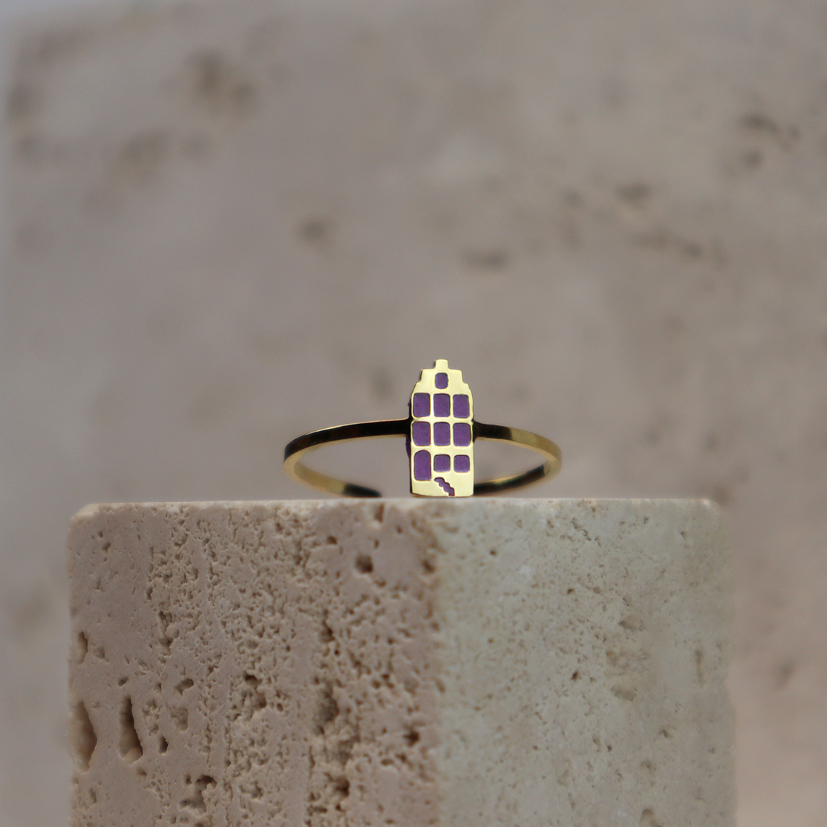 Ring - Grachtenpandje - Goud - Paars