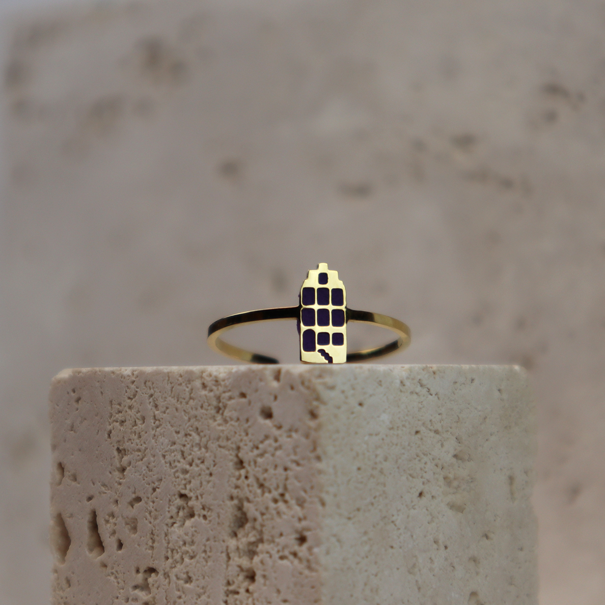 Ring - Grachtenpandje - Goud - Zwart