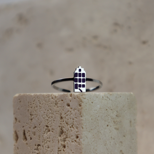 Ring - Grachtenpandje - Zilver - Zwart