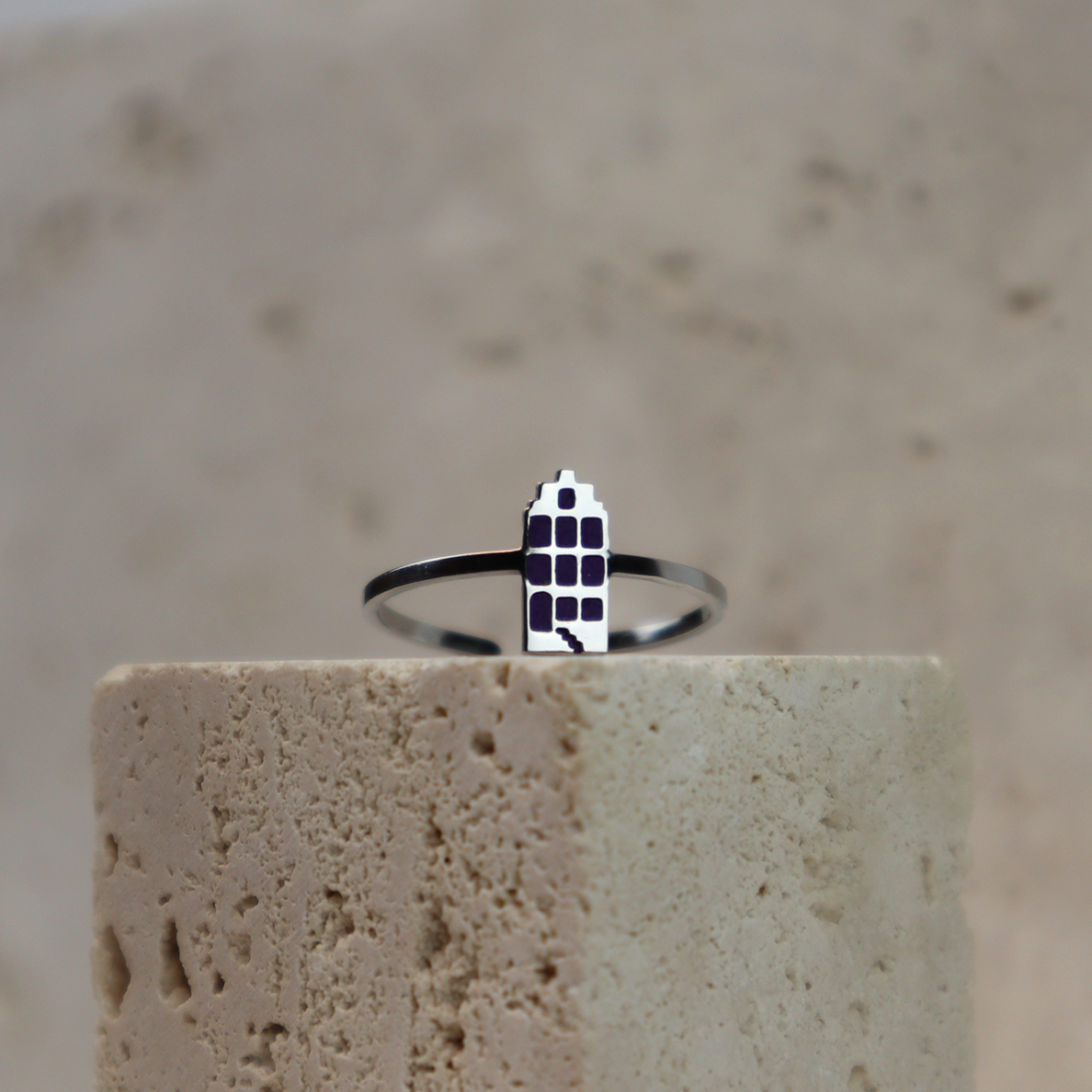 Ring - Grachtenpandje - Zilver - Zwart
