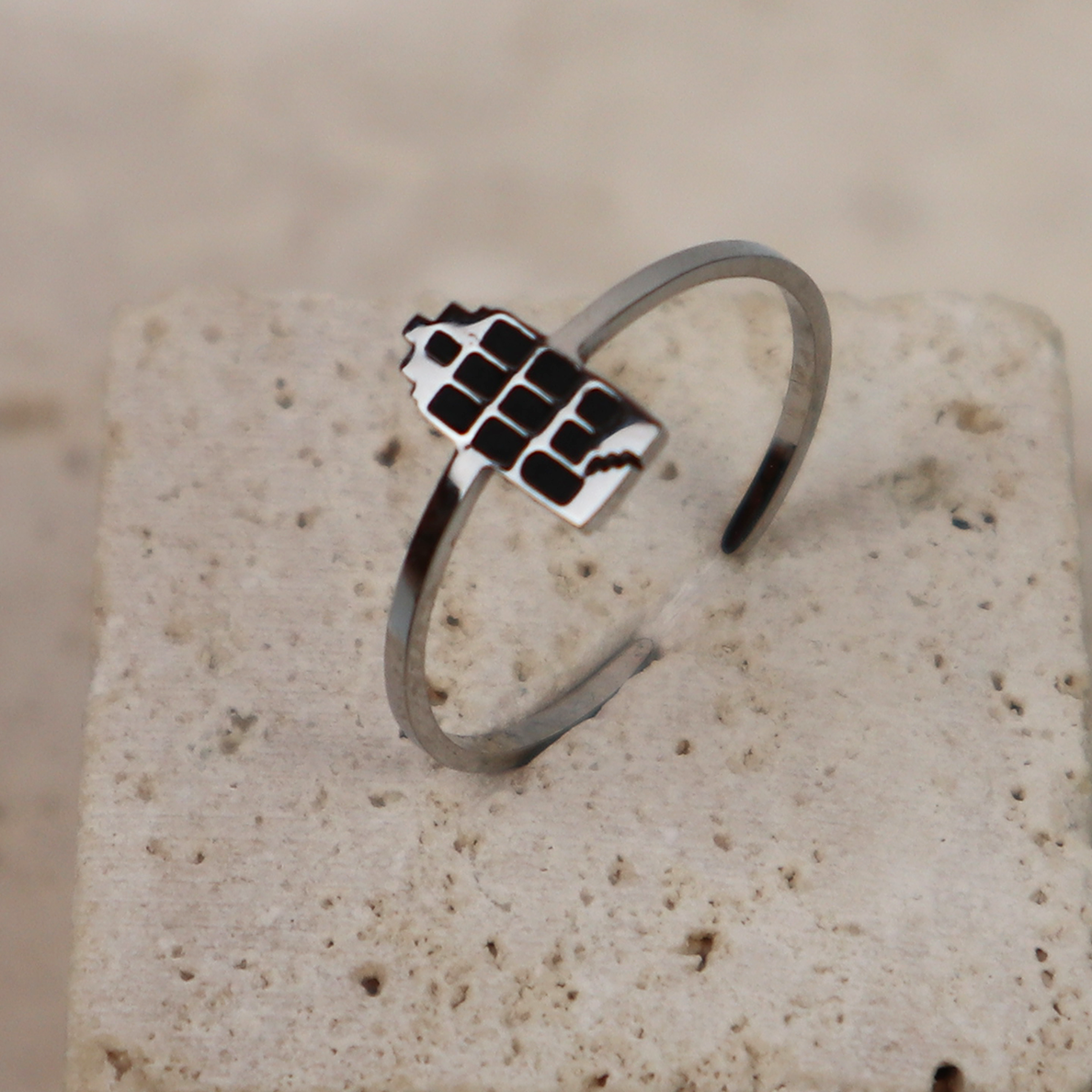 Ring - Grachtenpandje - Zilver - Zwart