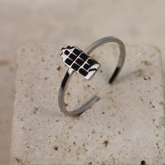 Ring - Grachtenpandje - Zilver - Zwart