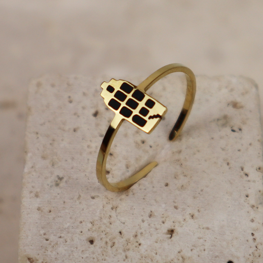 Ring - Grachtenpandje - Goud - Zwart