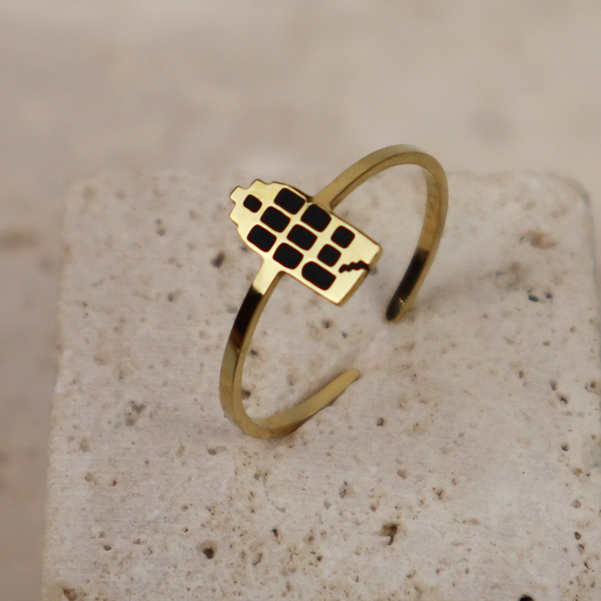 Ring - Grachtenpandje - Goud - Zwart