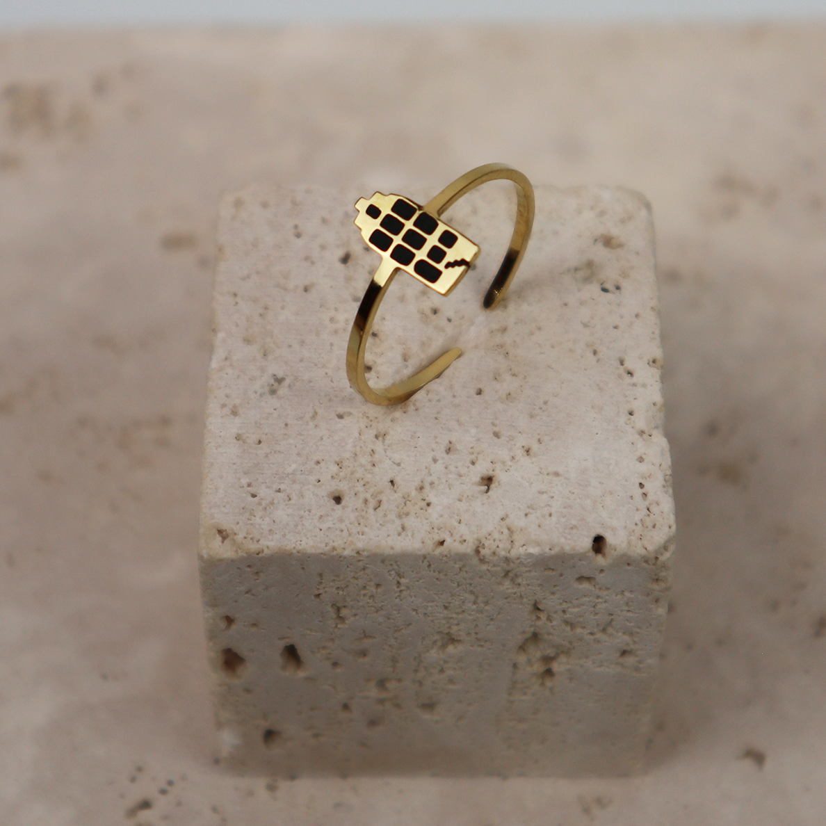 Ring - Grachtenpandje - Goud - Zwart