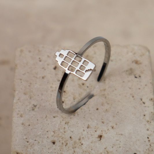 Ring - Grachtenpandje - Zilver - Open