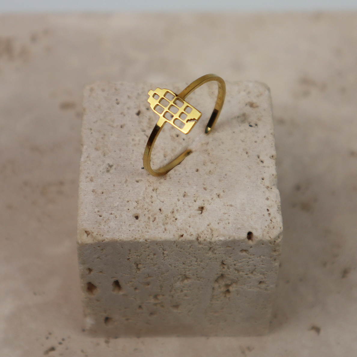 Ring - Grachtenpandje - Goud - Open