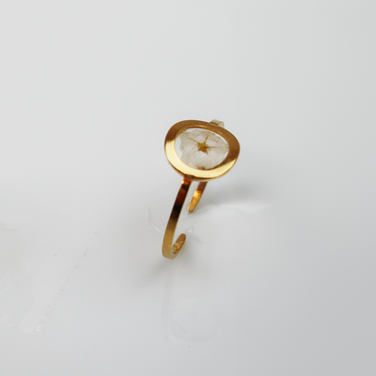 Drupt Ring GeoS Limonium 'diamond wit' Goud