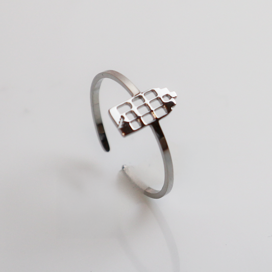 Ring - Grachtenpandje - Zilver - Open