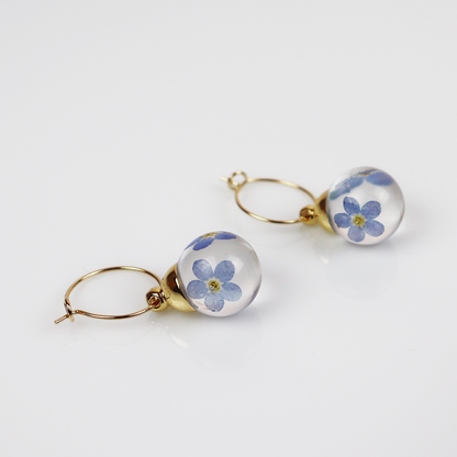 Pair of Earrings - Forget Me Not - Gold