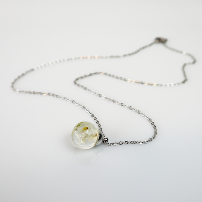 Drupt Hanger Limonium 'diamond wit'