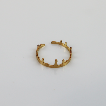 Ring - Druppels - Goud