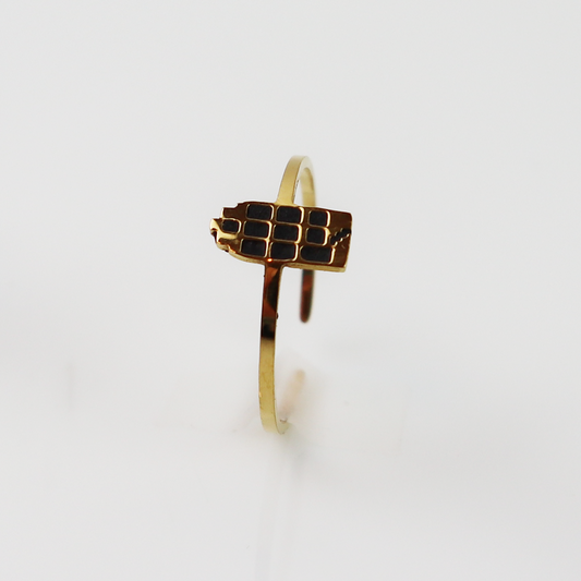 Ring - Grachtenpandje - Goud - Zwart