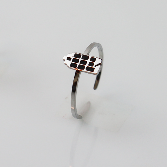 Ring - Grachtenpandje - Zilver - Zwart