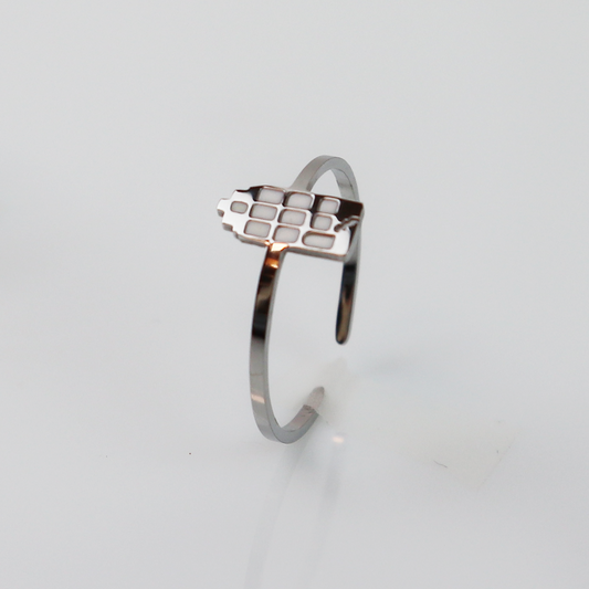 Ring - Grachtenpandje - Zilver - Wit