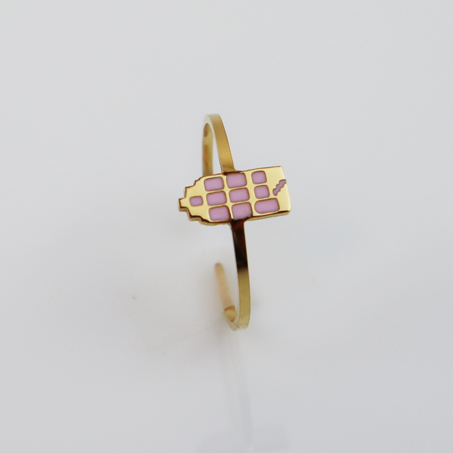 Ring - Grachtenpandje - Goud - Oud Roze