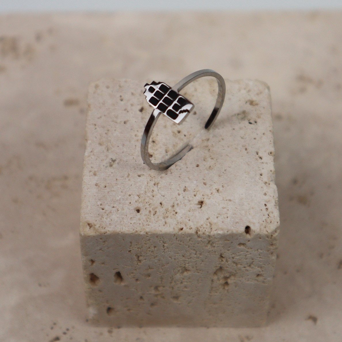 Ring - Grachtenpandje - Zilver - Zwart