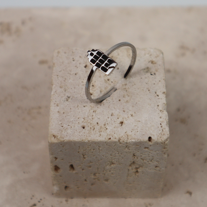 Ring - Grachtenpandje - Zilver - Zwart