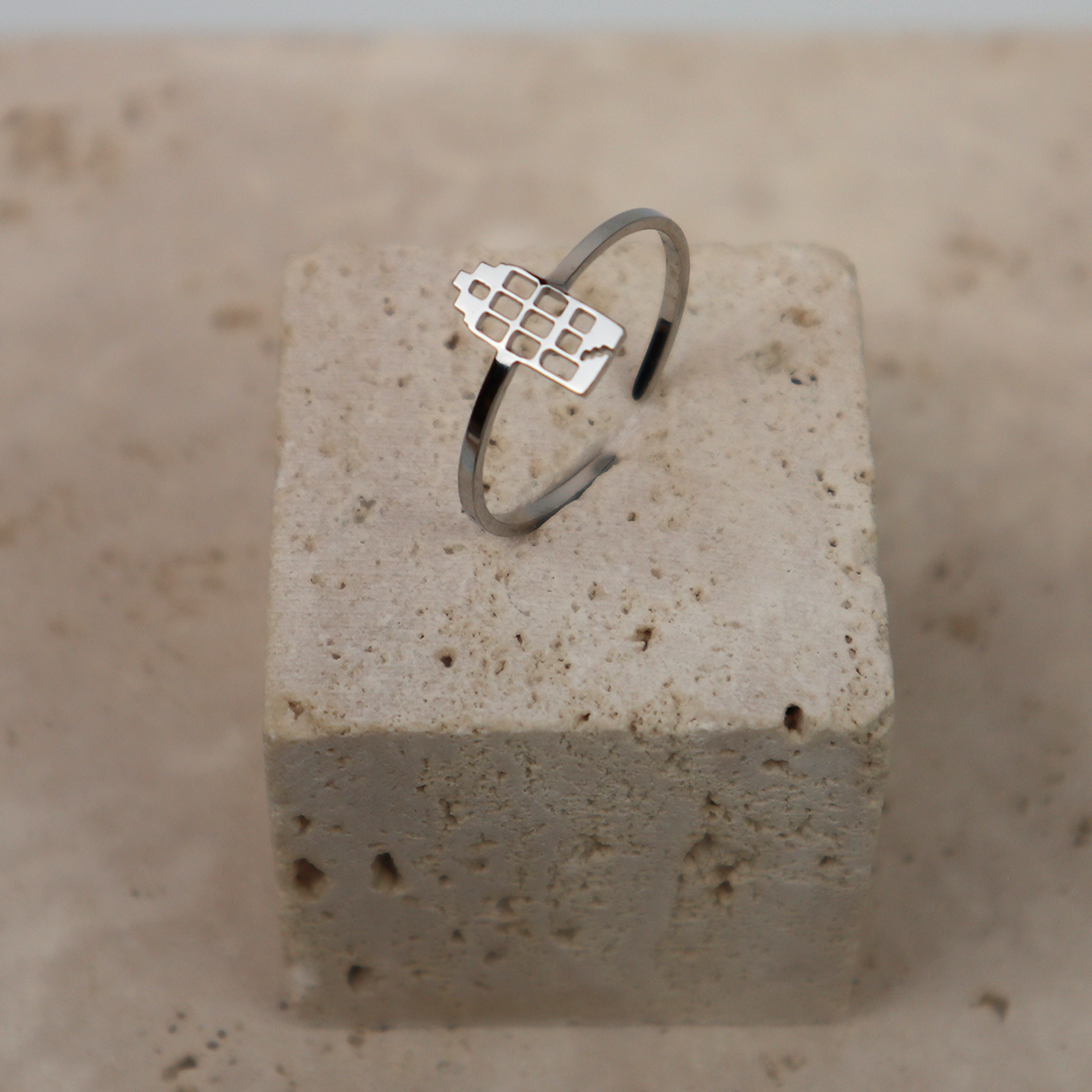 Ring - Grachtenpandje - Zilver - Open